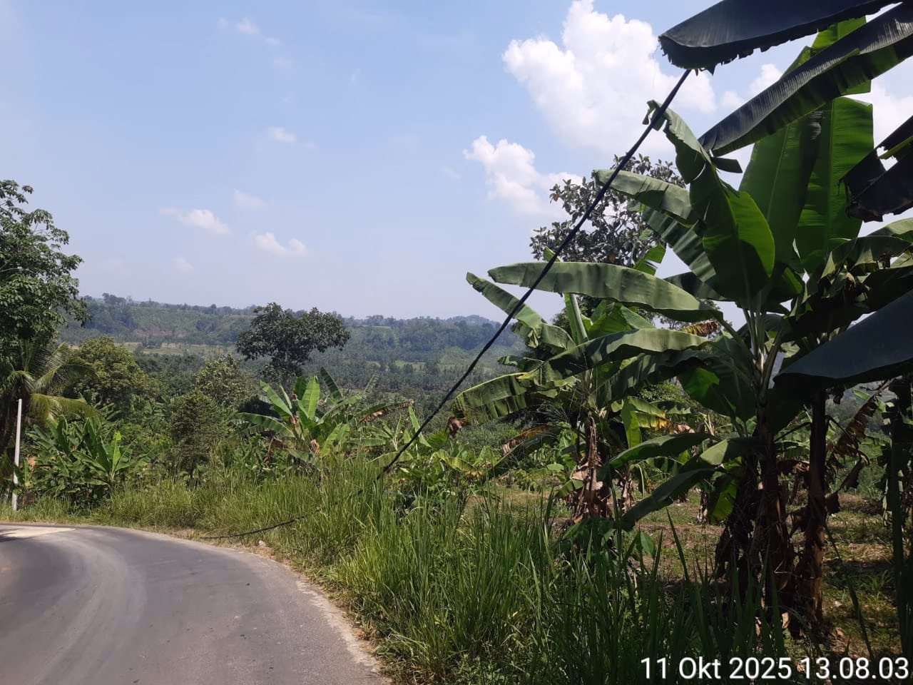 Kabel Listrik Menyentuh Tanah di Dusun Telmo, PLN Sebut Ulah Truk Bermuatan Pisang