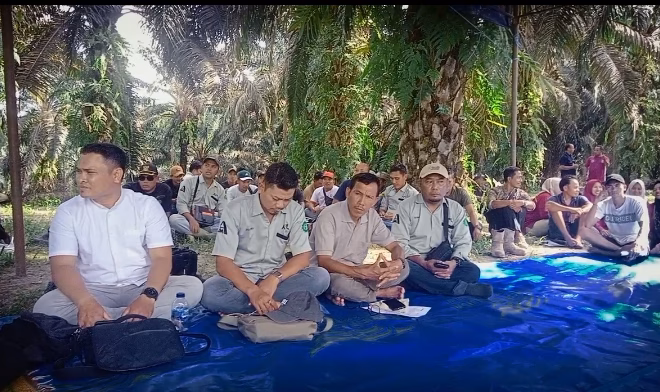 SOSIALISASI DI PT ADIMULYO PALMO LESTARI OLEH BEBERAPA INSTANSI TERKAIT